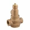 Buy 🤩 Watts Series LFN170 2 in. Thermostat Tempering Valve 🤩